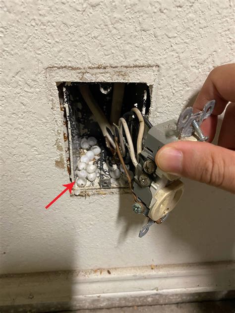 white eggs behind electrical wall